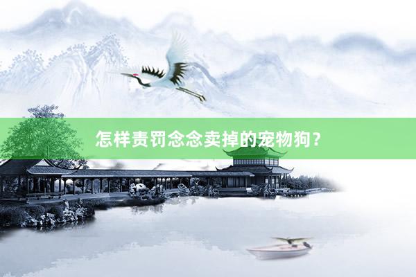 怎样责罚念念卖掉的宠物狗？